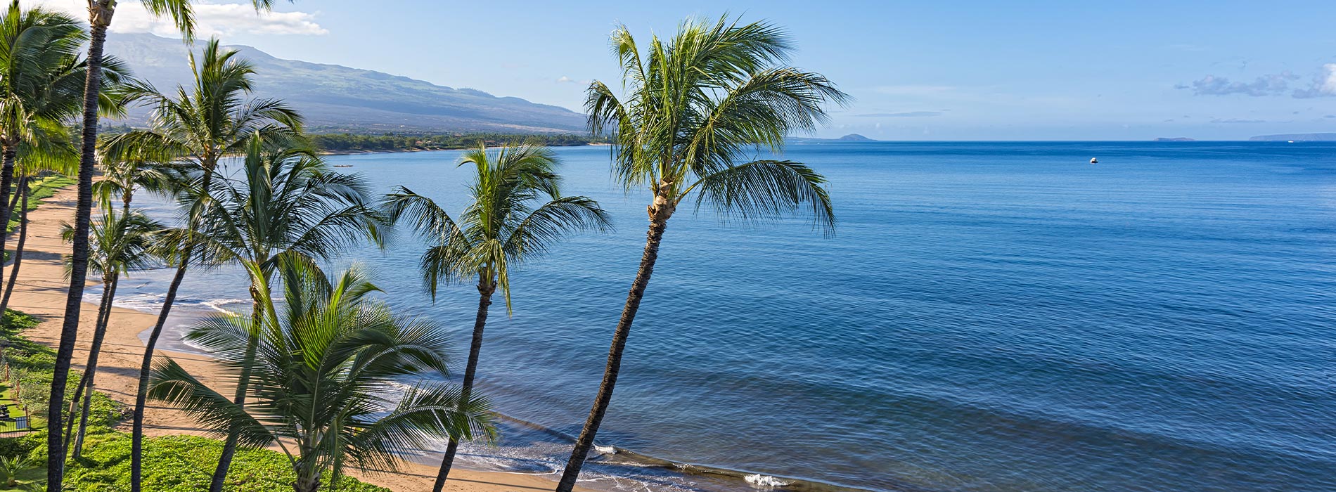 <html>
<head><title>500 Internal Server Error</title></head>
<body>
<center><h1>500 Internal Server Error</h1></center>
<hr><center>nginx/1.29.3</center>
</body>
</html>